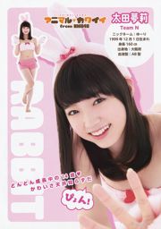 NMB48 吉田朱里 上西恵 渡辺美優紀 矢倉楓子 山本彩 室加奈子 [Young Animal] 2014年No.17 写真杂志